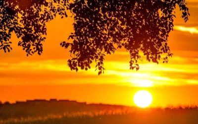 10 Ultimate Feel-Good Driving Songs for an Unforgettable Summer